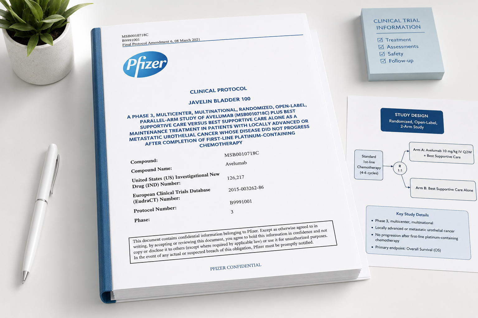 Printed Pfizer clinical protocol document for the JAVELIN Bladder 100 Phase 3 study, shown on a desk with a clinical trial information note and a study design reference sheet.