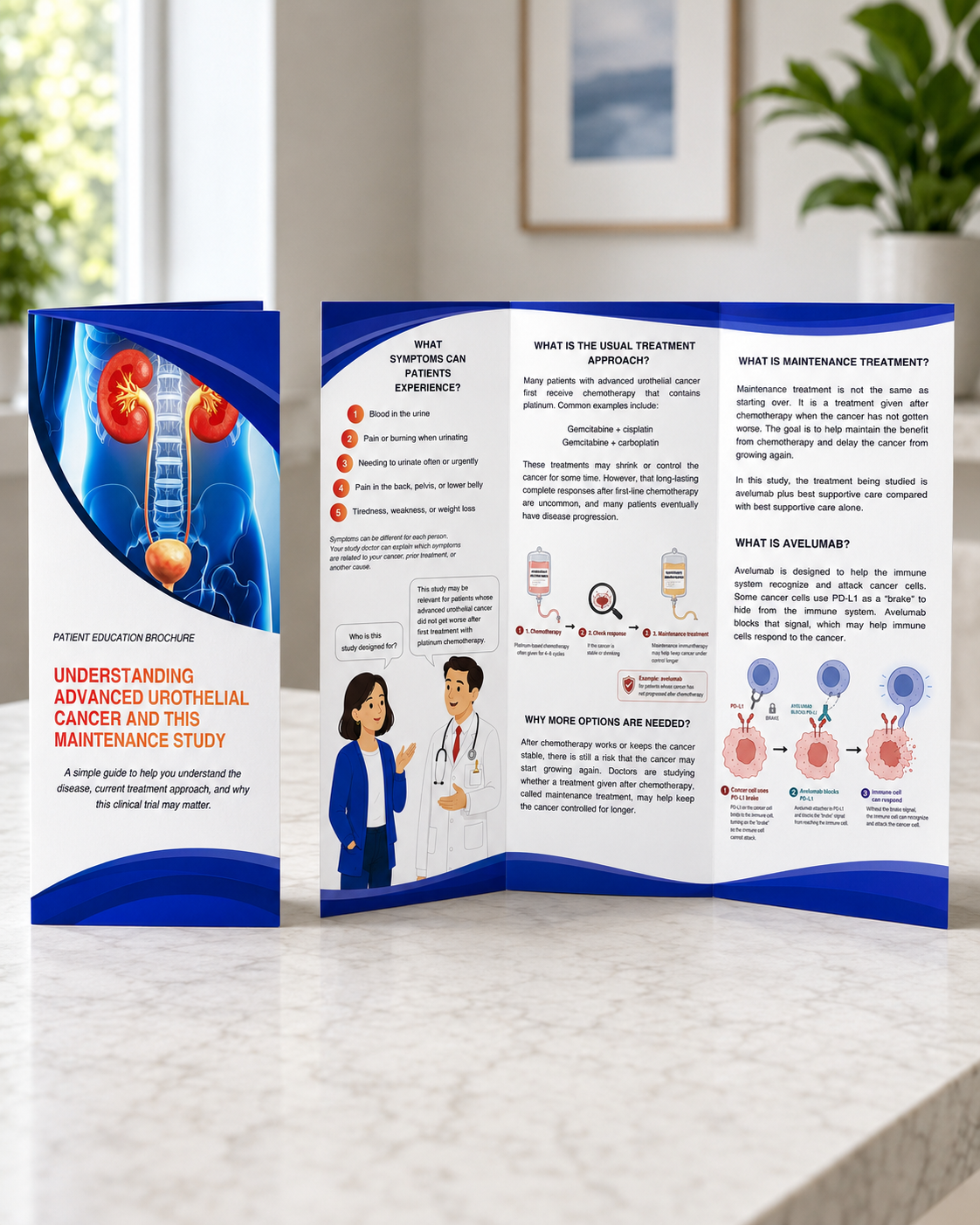 Trifold patient education brochure titled Understanding Advanced Urothelial Cancer and This Maintenance Study, standing fully unfolded on a countertop